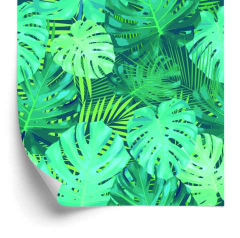 Tapeta Egzotyczne Liście Monstery