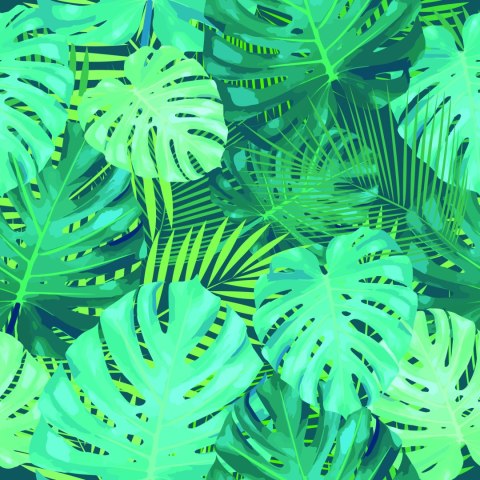 Tapeta Egzotyczne Liście Monstery