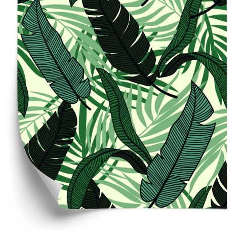 Tapeta Kolorowe Liście