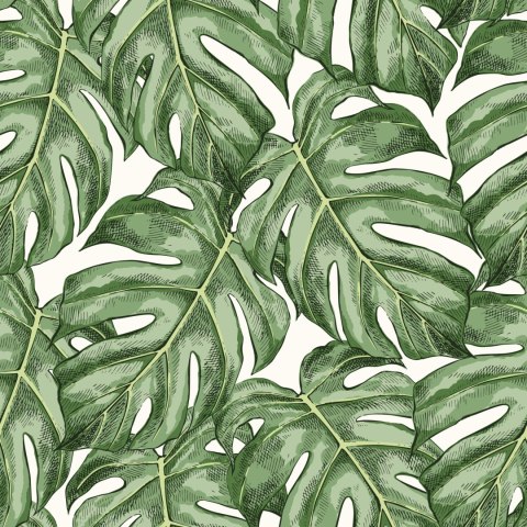 Tapeta Liście Monstera