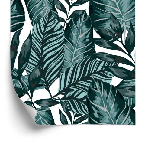 Tapeta Liście Palmy, Marakui I Monstery