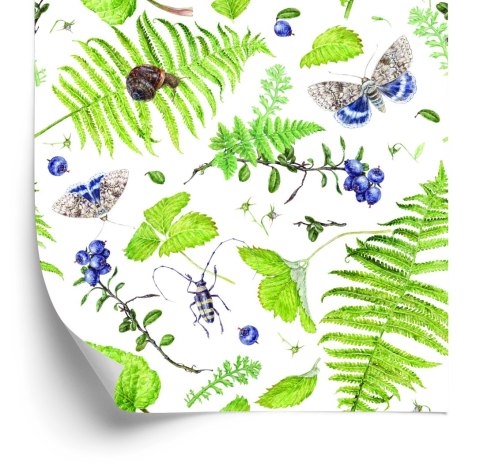 Tapeta Paproć Z Motylami