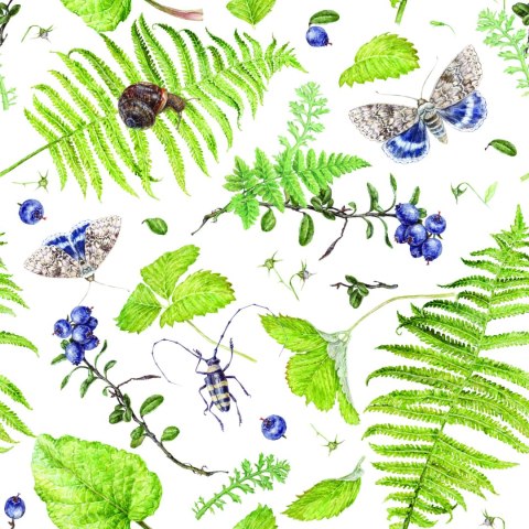 Tapeta Paproć Z Motylami