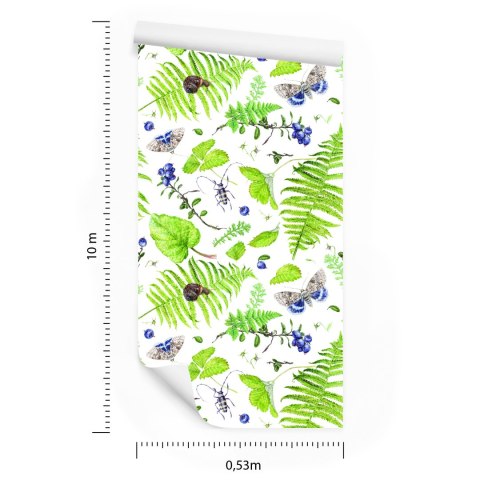 Tapeta Paproć Z Motylami