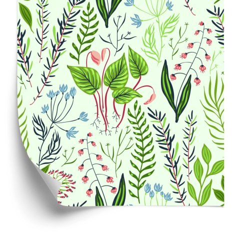 Tapeta Rośliny Z Łąki