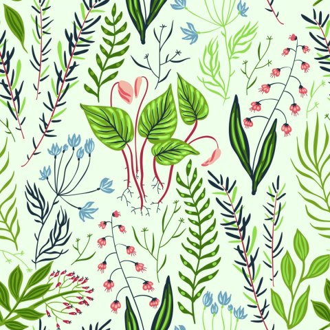 Tapeta Rośliny Z Łąki