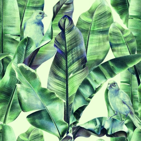 Tapeta Tapeta