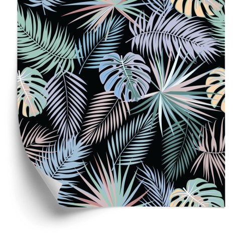 Tapeta Tropikalne Palmowe Liście