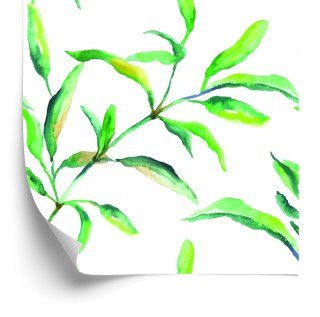 Tapeta Wiosenne Liście Akwarela