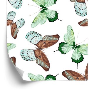 Tapeta Do Kuchni, Motyle, Natura, Przyroda