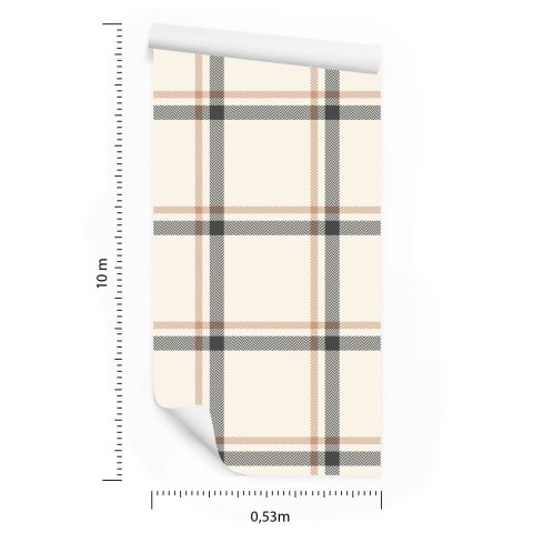 Tapeta 3D, Nowoczesna, Optyczna W Kratę Do Salonu Tapeta 3D, Nowoczesna, Optyczna W Kratę Do Salonu