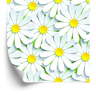 Tapeta Kwiaty - Rumianek 3D