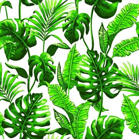 Tapeta Liście Monstera I Palmy