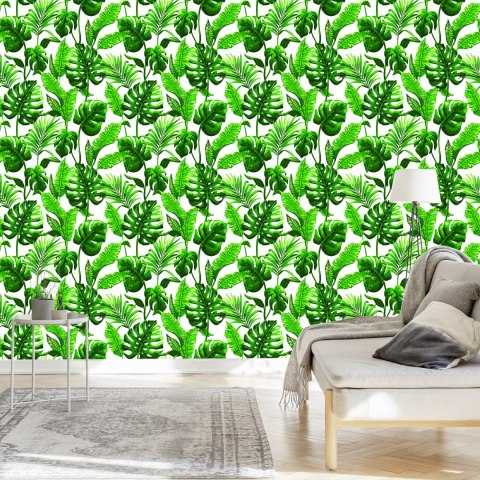 Tapeta Liście Monstera I Palmy