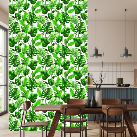 Tapeta Liście Monstera I Palmy