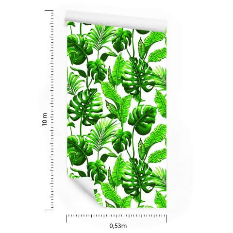 Tapeta Liście Monstera I Palmy