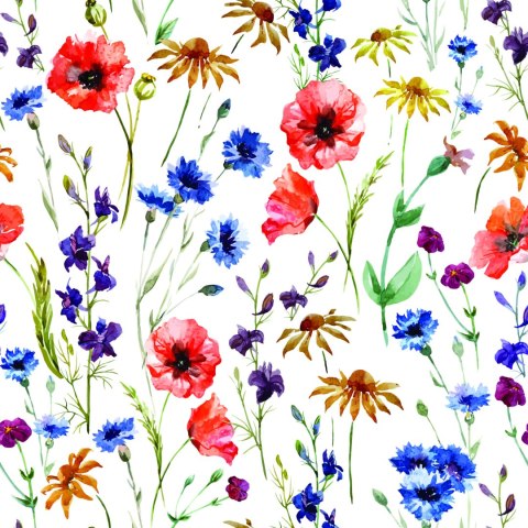 Tapeta Maki, Chabry I Rumianek