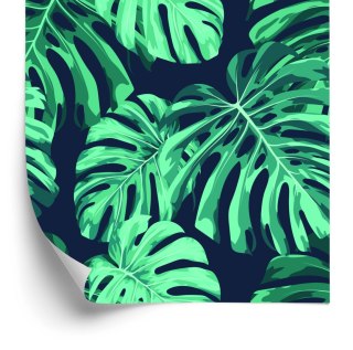 Tapeta Liście Monstery