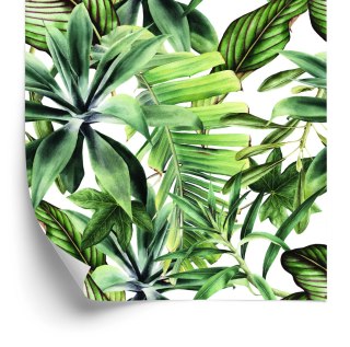 Tapeta Liście Bananowca