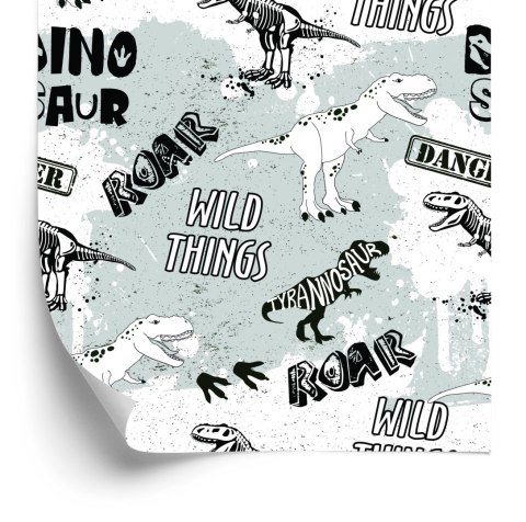 Tapeta W Dinozaury, Zwierzęta, Do Pokoju Dziecka Tapeta W Dinozaury, Zwierzęta, Do Pokoju Dziecka