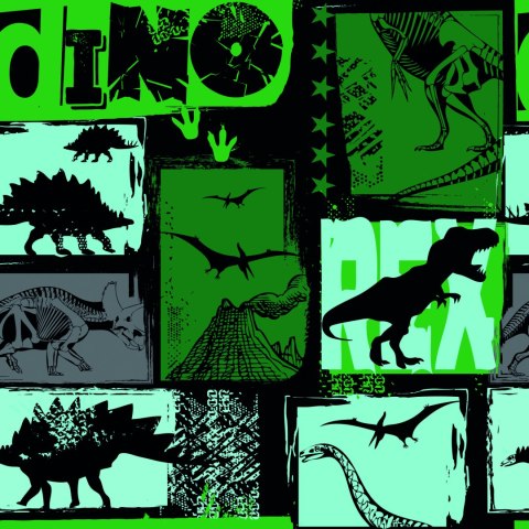 Tapeta Z Dinozaurami, Pokój Młodzieżowy