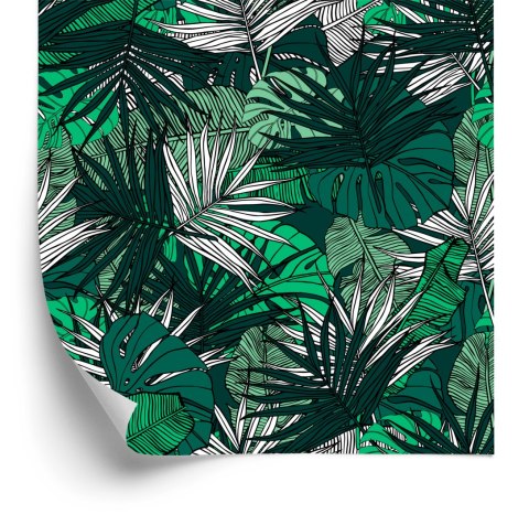 Tapeta Liście Monstera Bananowca Palmy