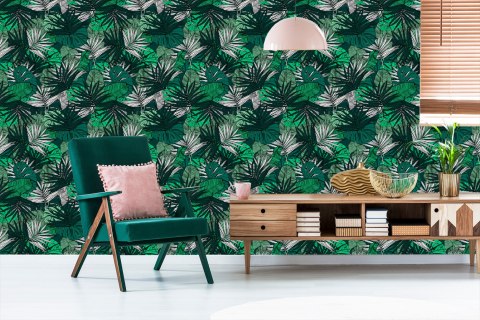 Tapeta Liście Monstera Bananowca Palmy