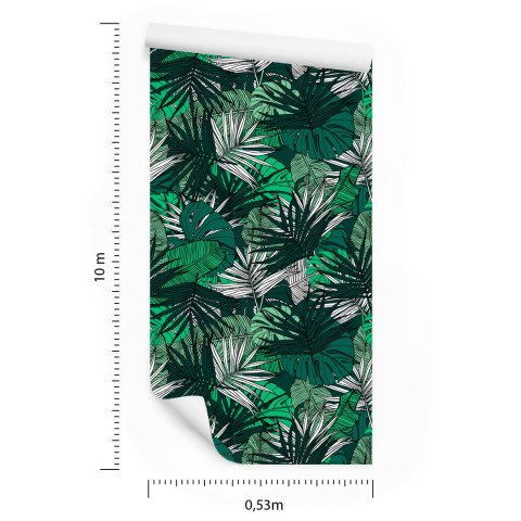 Tapeta Liście Monstera Bananowca Palmy