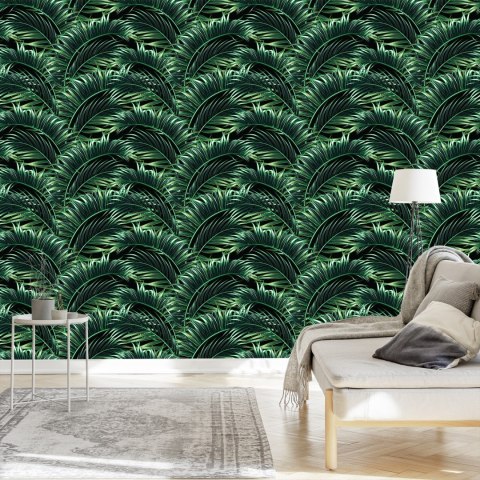 Tapeta Liście Palmowe