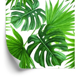 Tapeta Zielone Liście
