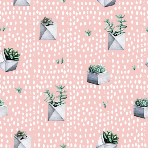 Tapeta Kaktusy W Doniczkach