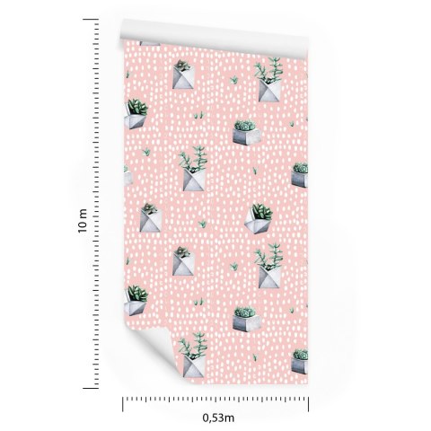 Tapeta Kaktusy W Doniczkach