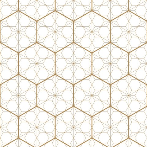 Tapeta Geometryczna - Sześciokąty