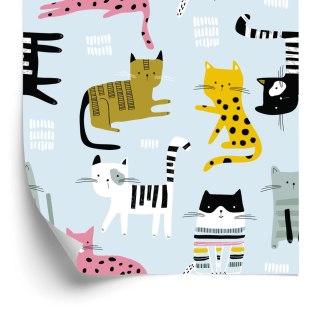 Tapeta Dla Dzieci - Kolorowe Ptaki