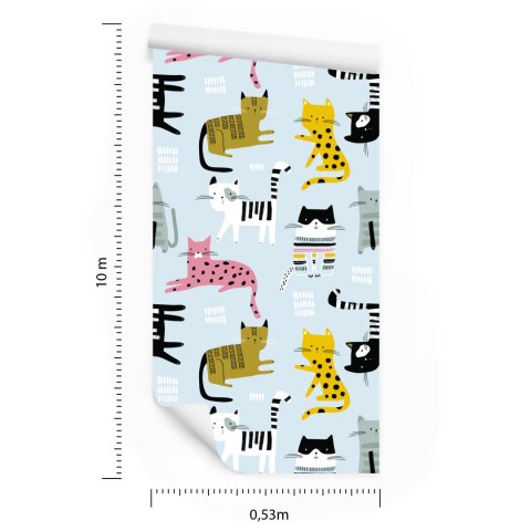 Tapeta Dla Dzieci - Kolorowe Ptaki