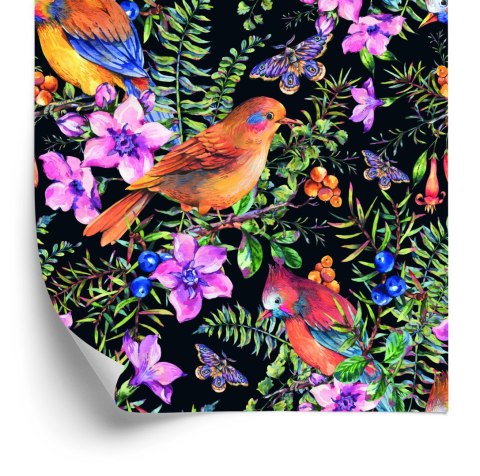 Tapeta - Piękne Kolorowe Ptaki I Motyle