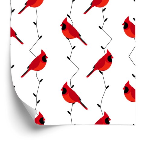 Tapeta - Piękne Kolorowe Ptaki