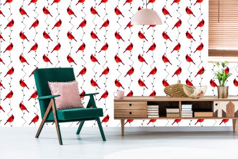 Tapeta - Piękne Kolorowe Ptaki