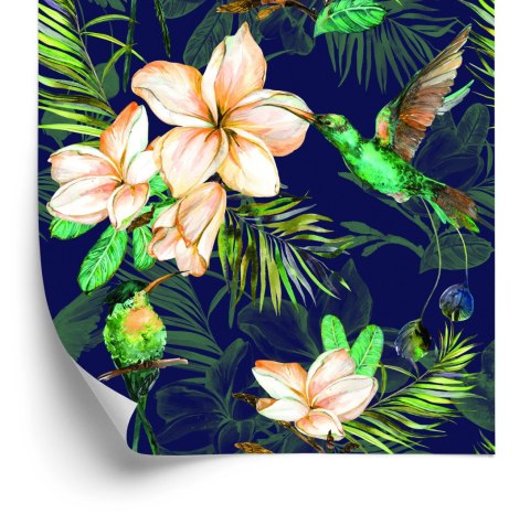 Tapeta Tropikalne Rośliny I Ptaki