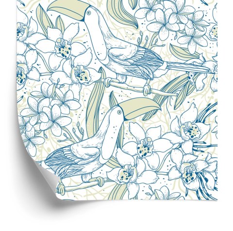 Tapeta - Tukany I Kwiaty