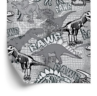 Tapeta Ścienna, Dinozaury, Do Pokoju Młodzieżowego