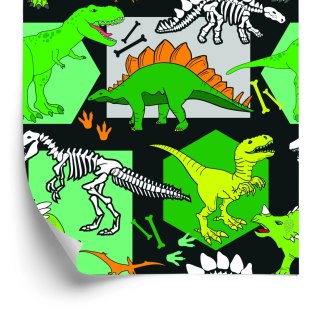 Tapeta Ścienna Dla Chłopaków Dinozaury, Zwierzęta