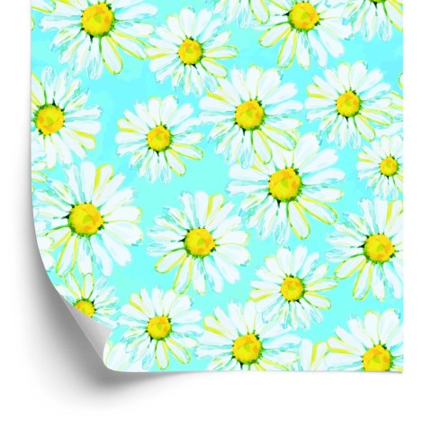 Tapeta Stokrotki Malowane Akwarelą