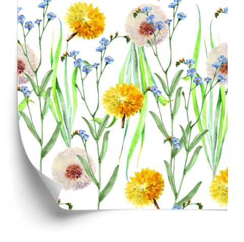 Tapeta Dmuchawce I Kwiaty Polne