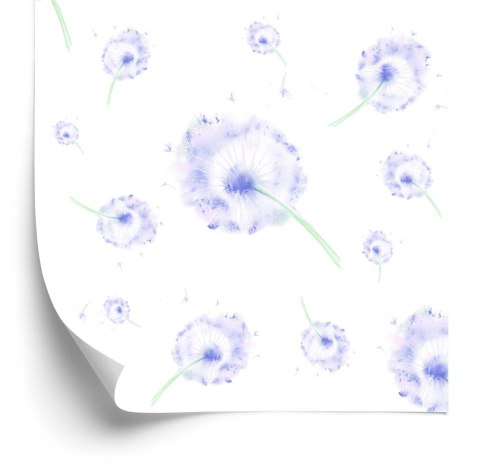 Tapeta Fioletowe Dmuchawce