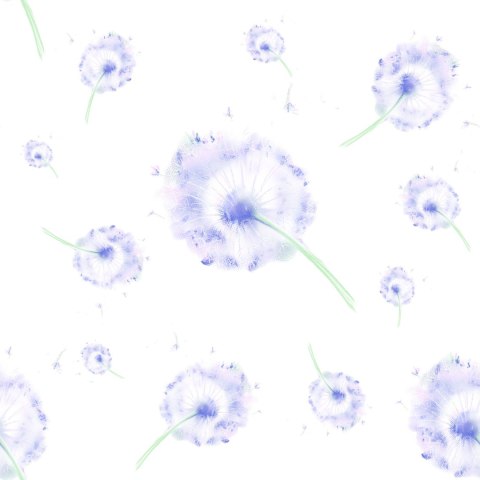 Tapeta Fioletowe Dmuchawce