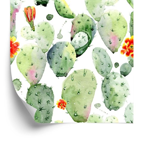 Tapeta Kaktusy Z Plamami I Kwiatami
