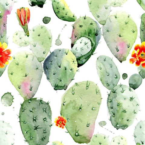 Tapeta Kaktusy Z Plamami I Kwiatami