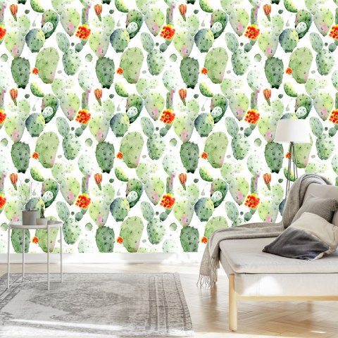 Tapeta Kaktusy Z Plamami I Kwiatami