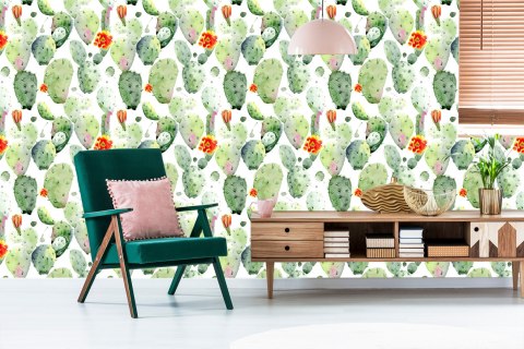 Tapeta Kaktusy Z Plamami I Kwiatami